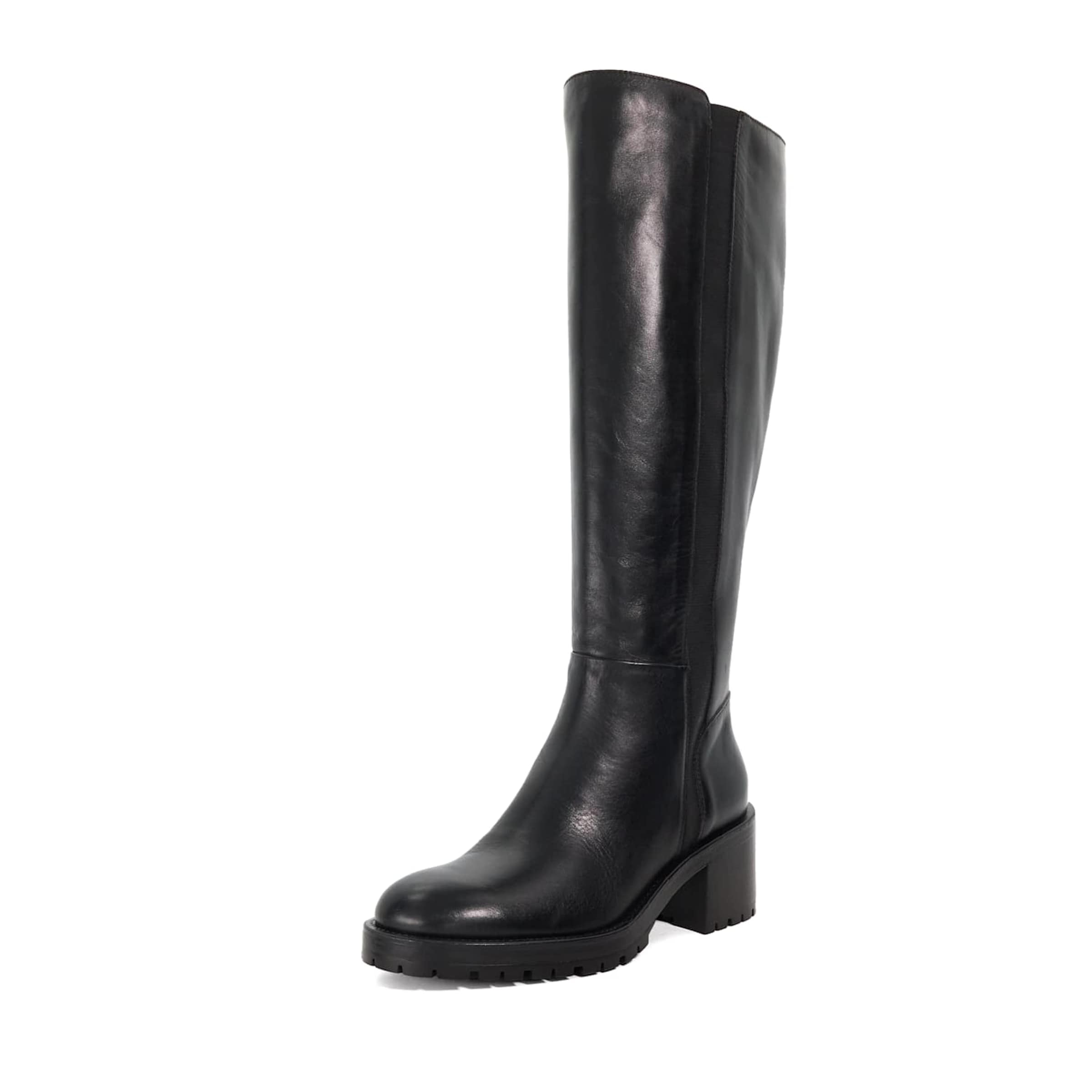 Dune LONDON Bottes 'Taisy' en noir, Vue avec produit