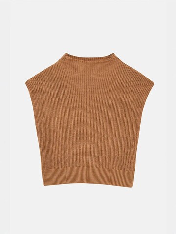 Hiccup Pullover in Braun: Vorderseite