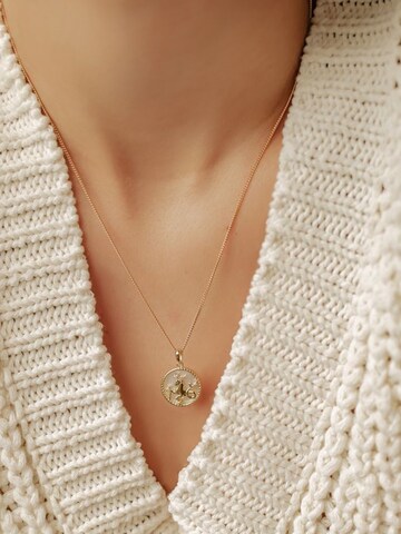 Hey Happiness - Cadena 'Capricorn' en oro