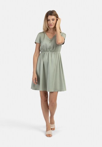 usha BLACK LABEL Dress in Green