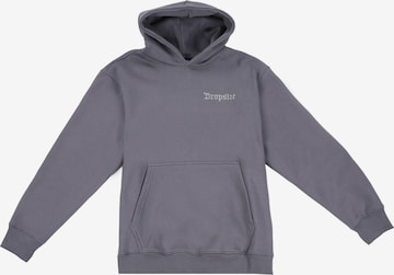 Dropsize Sweatshirt in Grau: Vorderseite