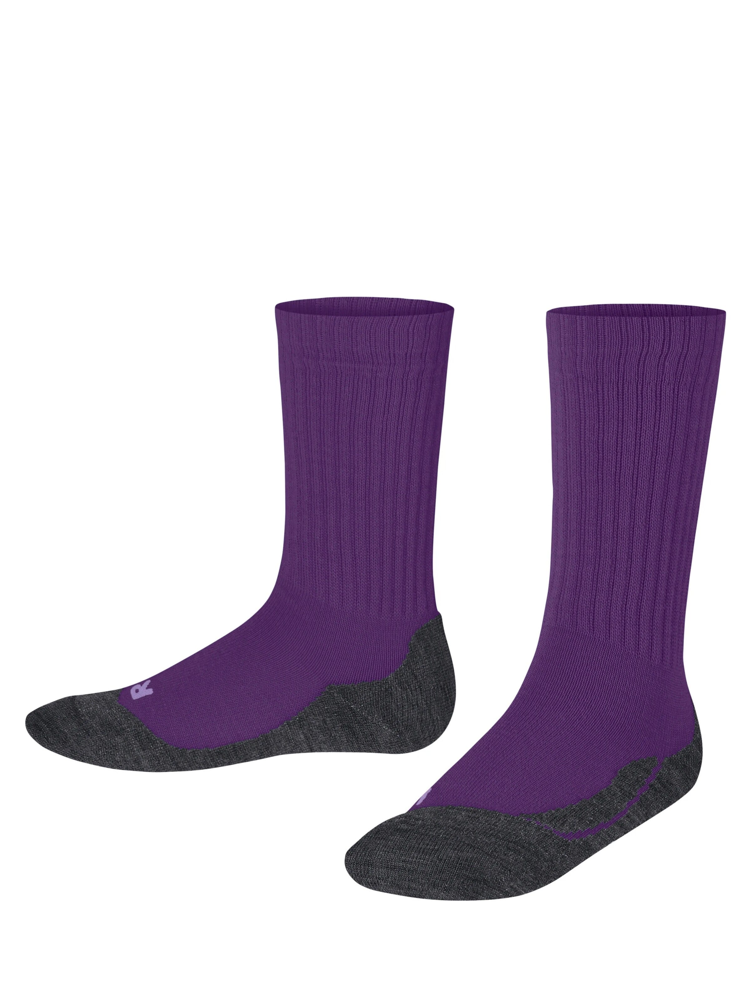 FALKE Socks 'Active Warm' in Purple: front