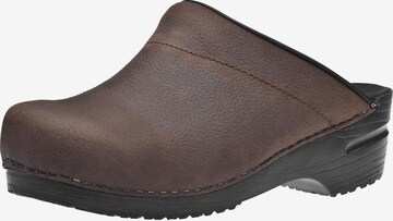 SANITA Mules in Brown: front