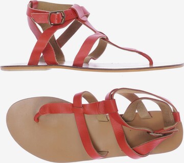 Warehouse Sandalen 41 in Rot: predná strana