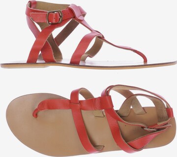 Warehouse Sandals & High-Heeled Sandals in 41 in Red: front