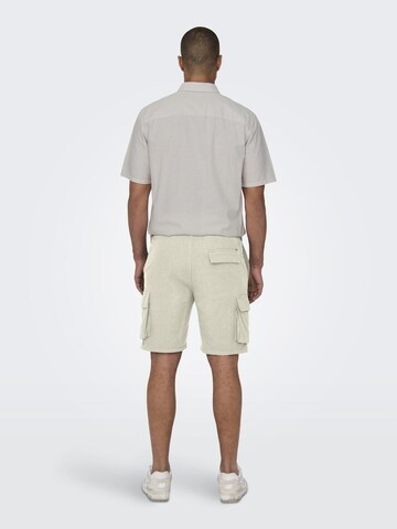 Only & Sons Regular Shorts 'Sinus' in Grau