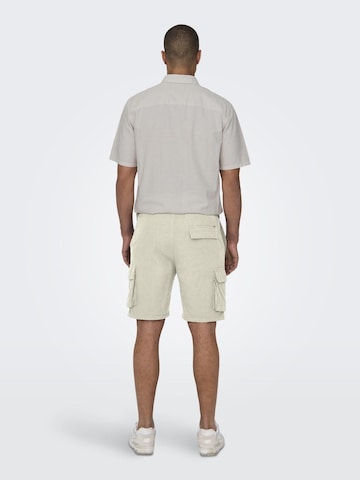 Only & Sons - regular Pantalón cargo 'Sinus' en gris