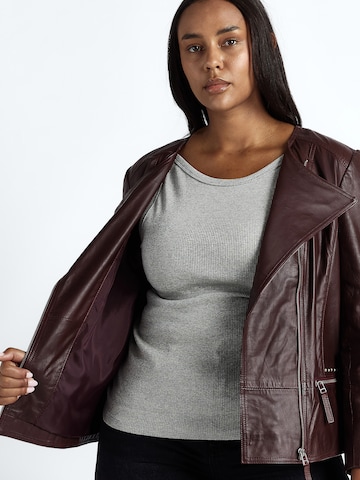 JCC Tussenjas in Rood