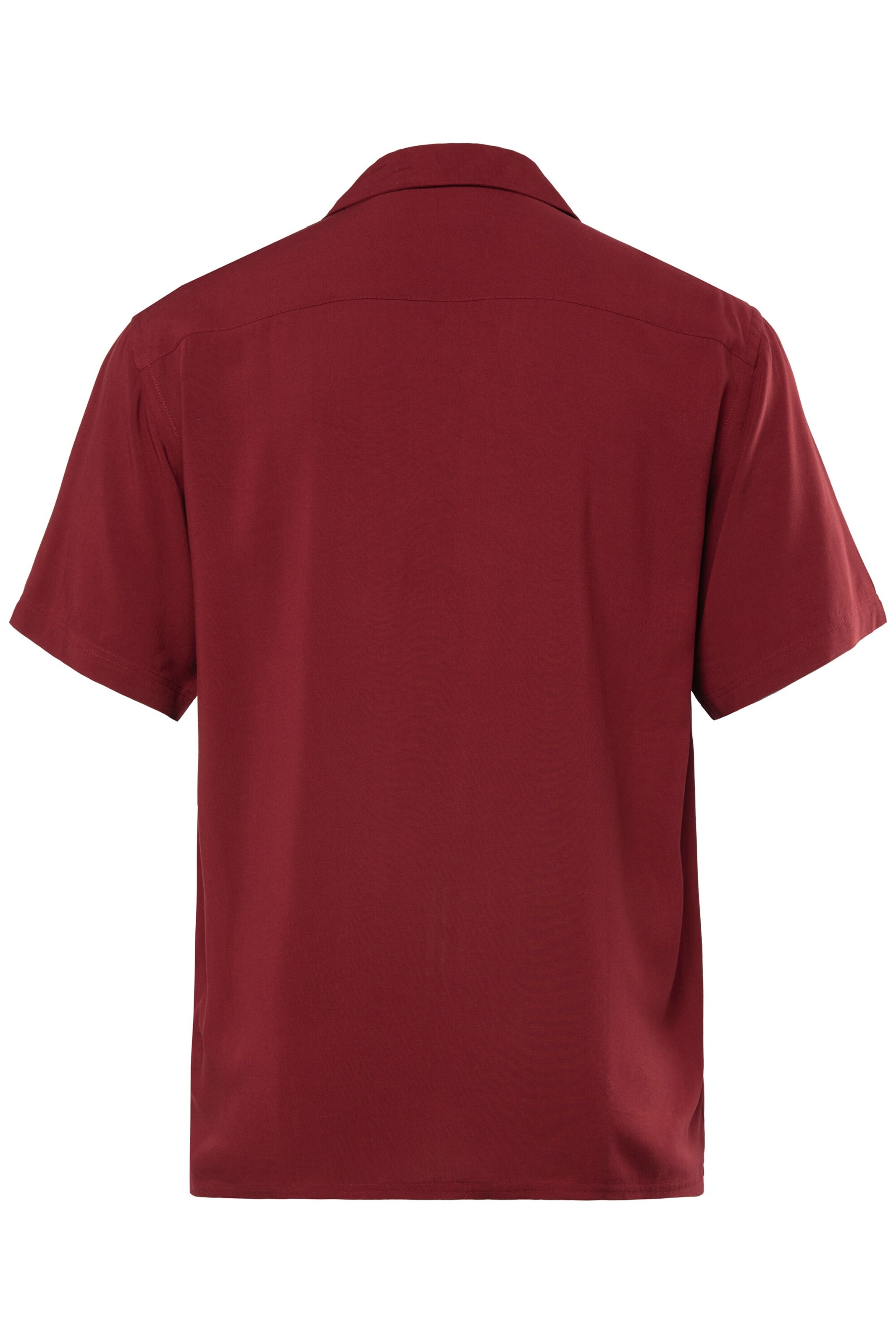 Men Plus Regular fit Button Up Shirt in Brown