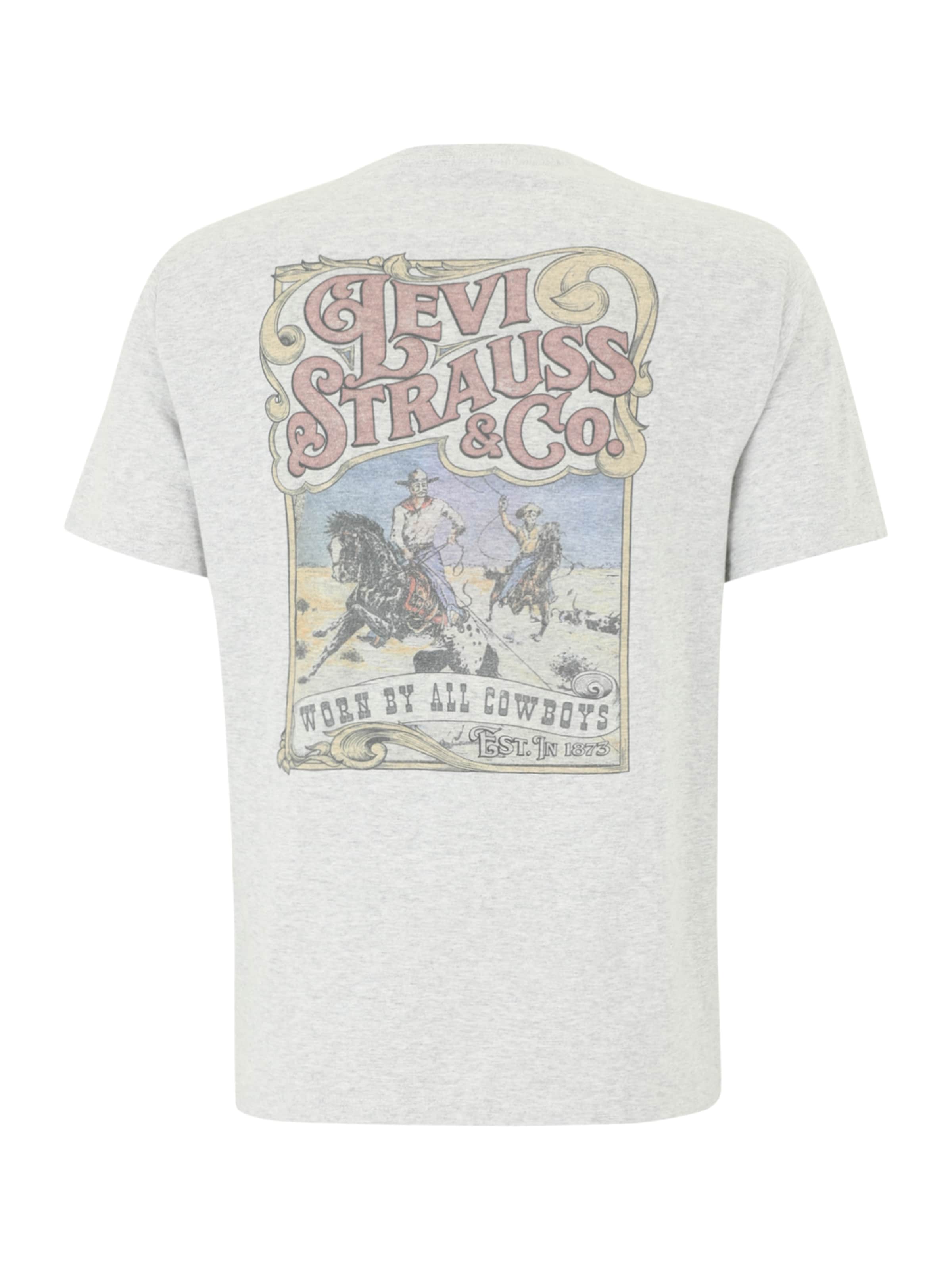 LEVI'S ® - Camiseta 'Relaxed Graphic Tee' en gris