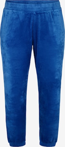 Zizzi Tapered Pants in Blue: front