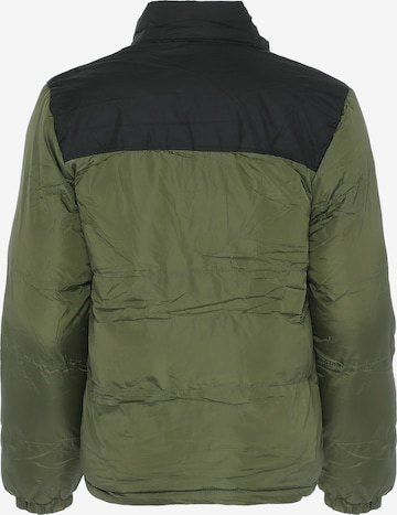 Colina Winter Jacket in Green