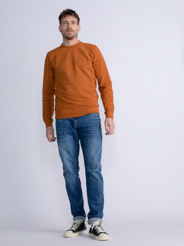 Petrol Industries Sweatshirt 'Weiser' in Brown