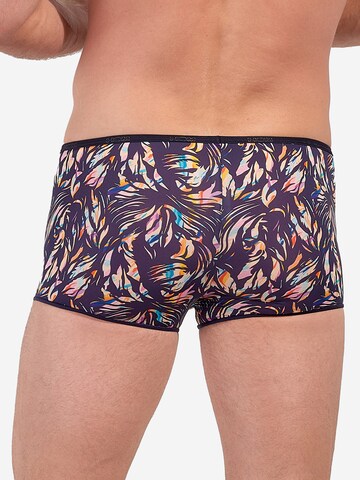 HOM Boxer shorts 'Viscaya' in Mixed colors