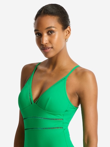 SEA LEVEL Triangel Badpak 'Essentials' in Groen