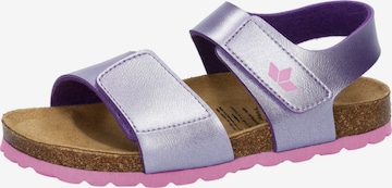 purpurinė LICO Atviri batai: priekis
