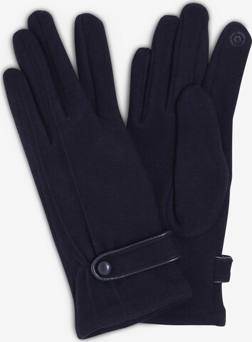 eem Full Finger Gloves in Blue: front