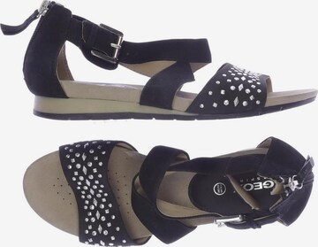 GEOX Sandals & High-Heeled Sandals in 37,5 in Black: front
