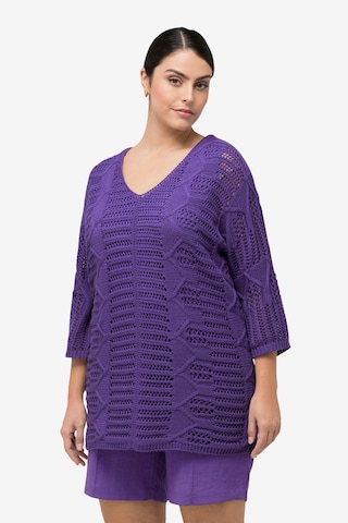 Ulla Popken Pullover in Lila: predná strana