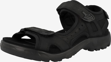ECCO Sandals 'Offroad' in Black: front