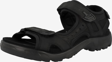 Sandales 'Offroad' ECCO en noir : devant