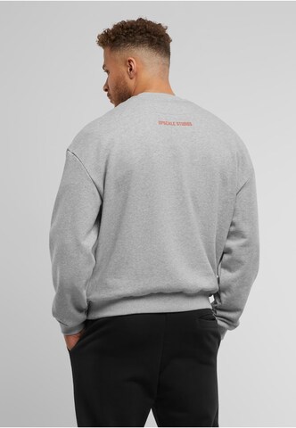 MT Upscale Sweatshirt 'Texas Longhorns Austin' in Grau