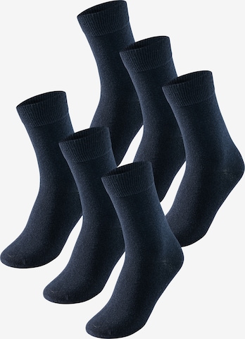 uncover by SCHIESSER Socks in Blue: front