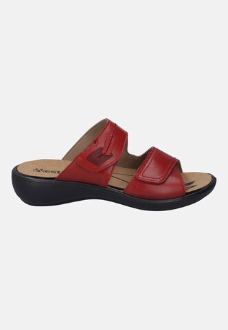 Westland Pantolette in Rot