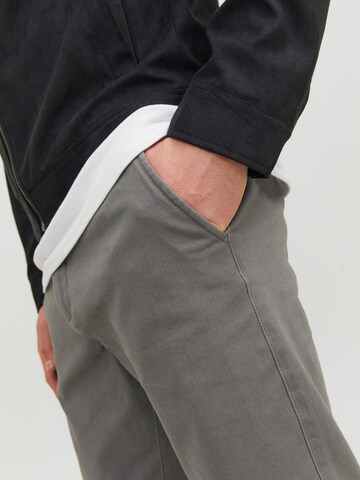 JACK & JONES - Regular Calças chino 'Kane' em cinzento