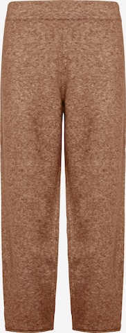 DEHA Regular Pants in Brown: front