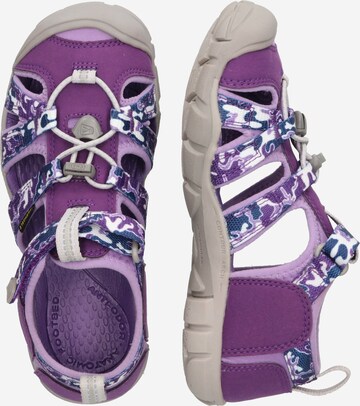 Sandales 'SEACAMP II' KEEN en violet