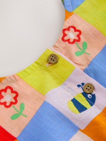 Next Dress in Mixed colors