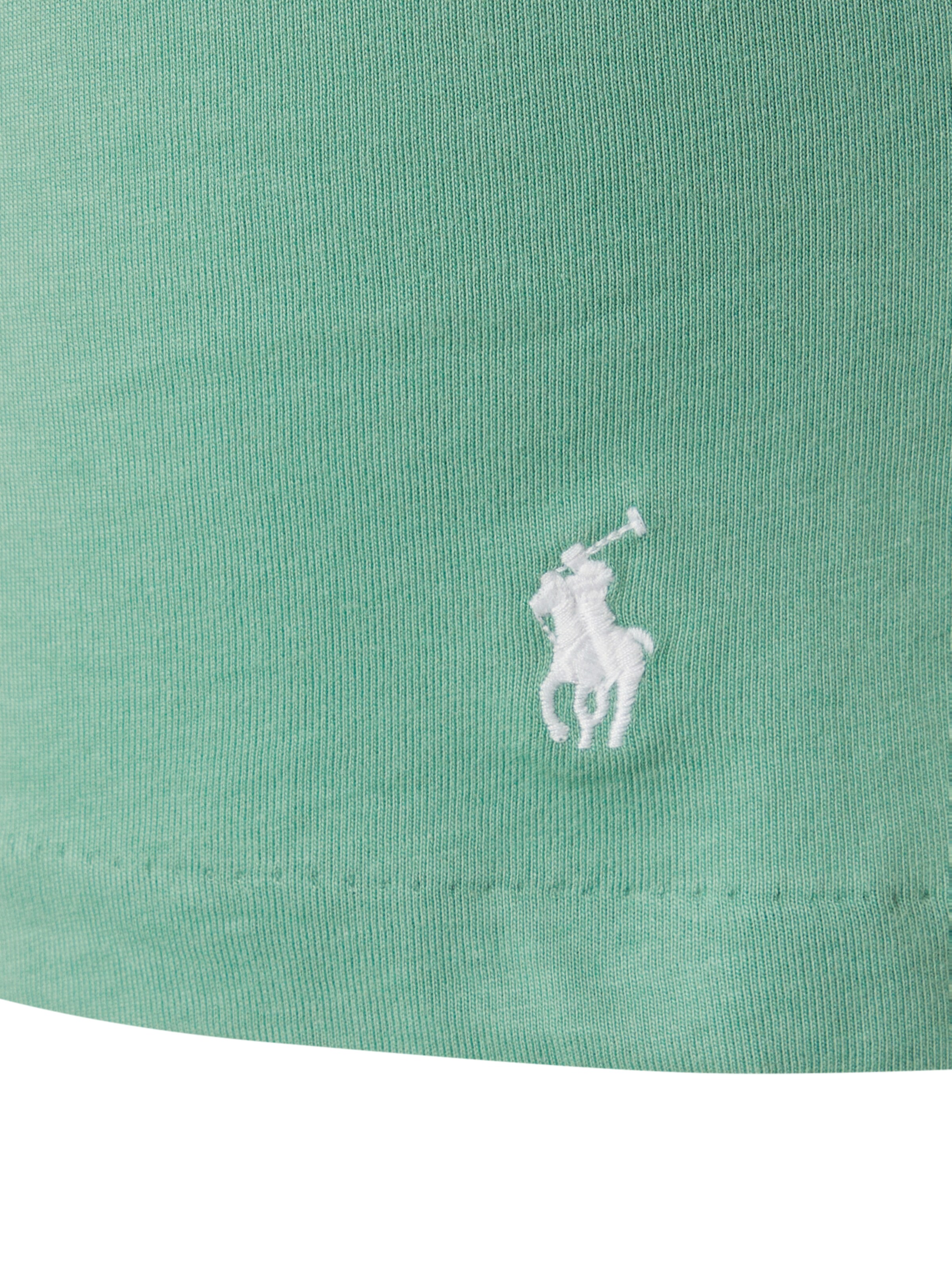Polo Ralph Lauren Φανέλα 'Spring Start' σε πράσινο