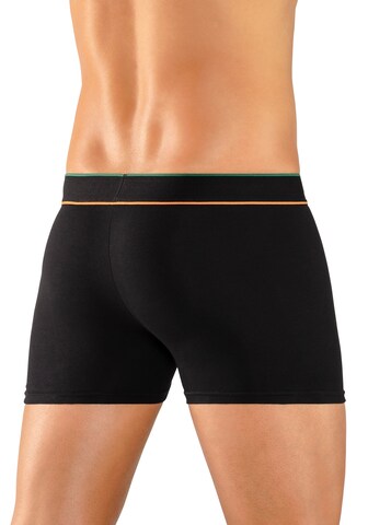 BUFFALO Boxershorts in Mischfarben