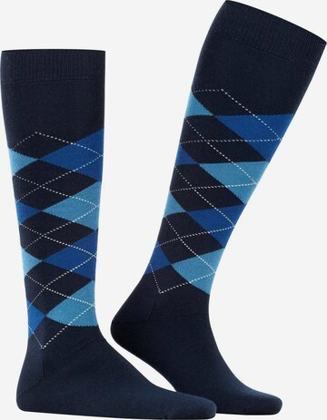 BURLINGTON Knee High Socks in Blue