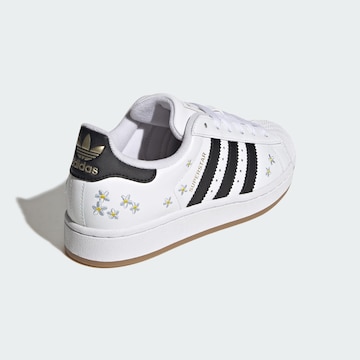 ADIDAS ORIGINALS - Zapatillas deportivas 'Superstar II' en blanco