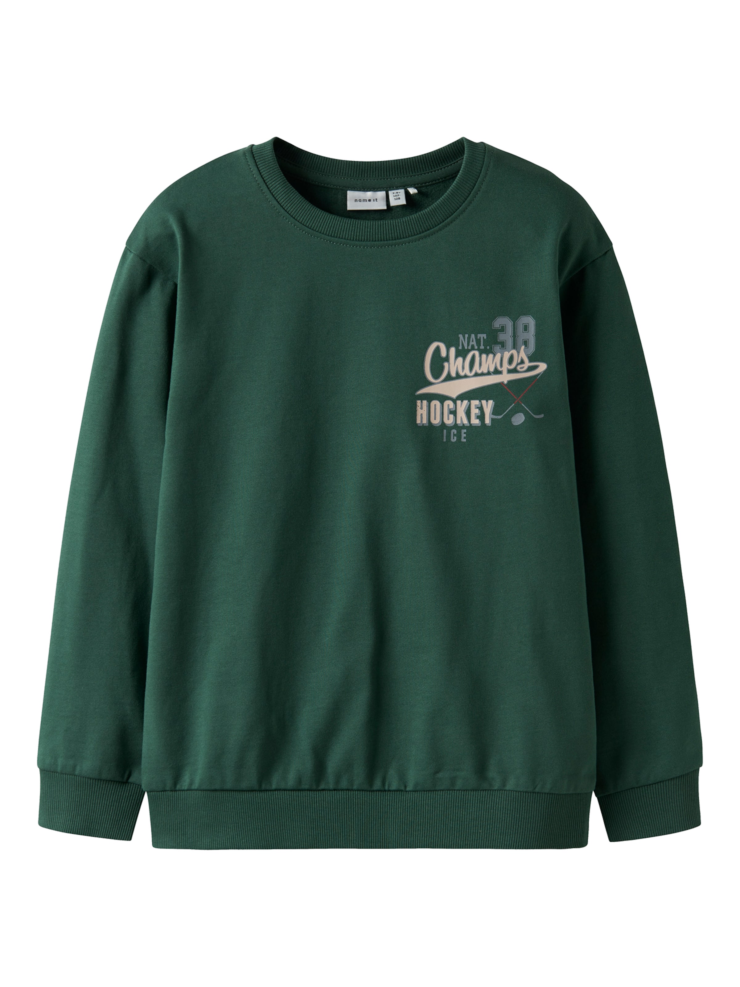 NAME IT Μπλούζα φούτερ 'NKMSAUL' σε πράσινο: μπροστά