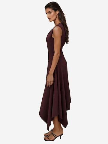 Hiccup Kleid in Braun