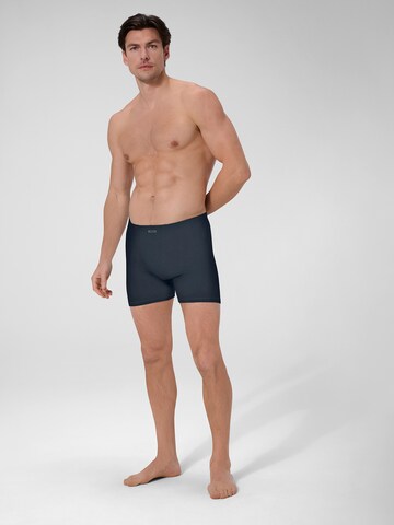 Boxers ' Close To You ' Ammann en bleu