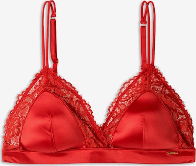 Gisela Rintaliivi värissä punainen, Tuotenäkymä