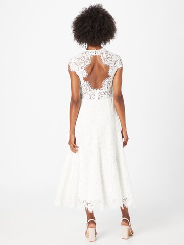 Robe de soirée IVY OAK en blanc