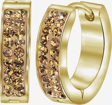 Lucardi Oorbellen in Goud: voorkant