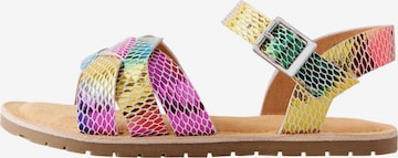 mišri Next Sandalai: priekis