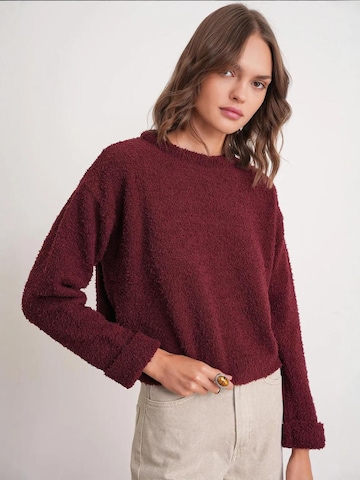 Pullover 'Pullover' di MixRay in rosso: frontale