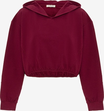 Anou AnouSweater majica - ljubičasta boja: prednji dio