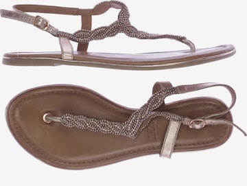 SALAMANDER Sandals & High-Heeled Sandals in 40 in Gold: front