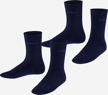 ESPRIT Socken 'Foot Logo 2-Pack' in Blau: Vorderseite