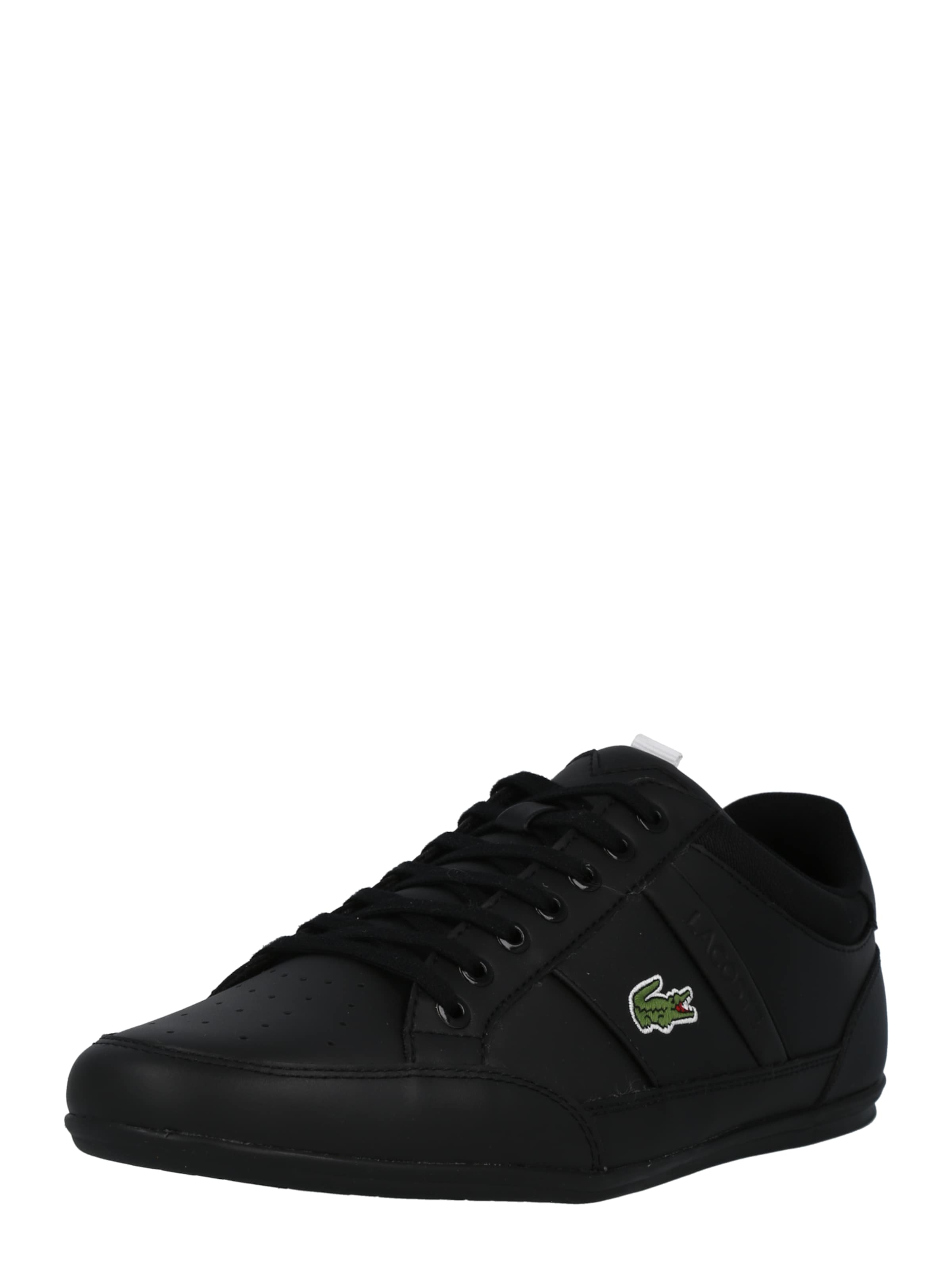 LACOSTE rebajas hombres | Comprar online | ABOUT YOU