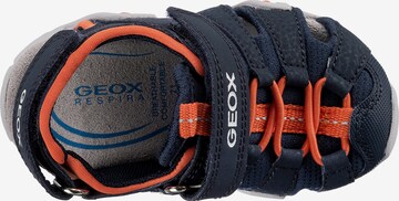 GEOX Sandals & Slippers 'Kraze' in Blue