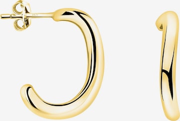 Sofia Milani Ohrringe in Gold: Vorderseite
